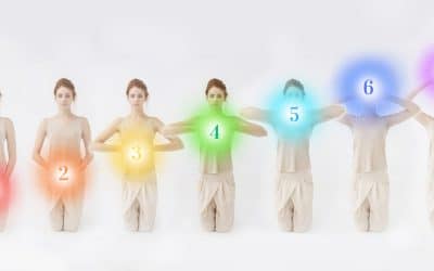 Découvrir les chakras, comprendre ses énergies